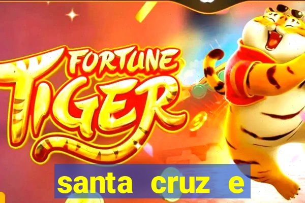 santa cruz e cruzeiro ao vivo hd